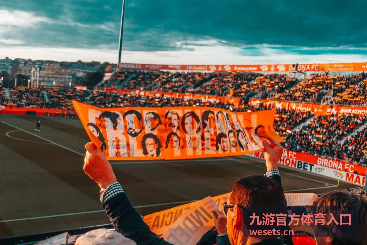 九游官方体育入口常见入口问题处理清单封面