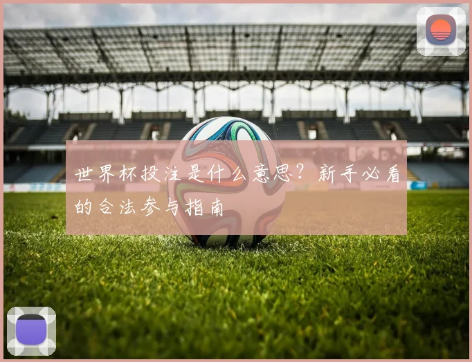 世界杯投注是什么意思？新手必看的合法参与指南