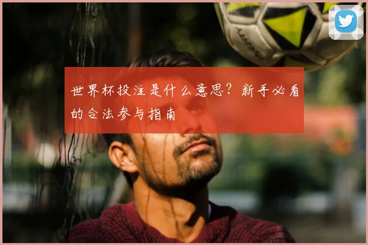 世界杯投注是什么意思?新手必看的合法参与指南