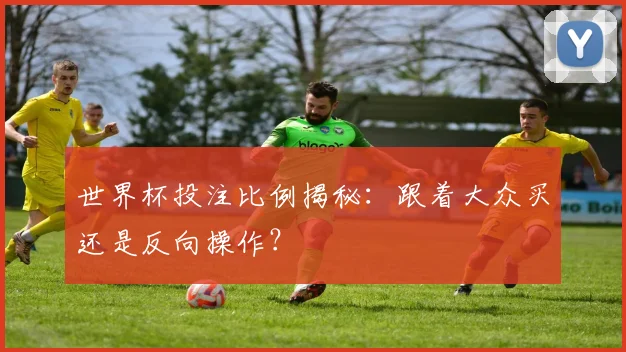 世界杯投注比例揭秘：跟着大众买还是反向操作？
